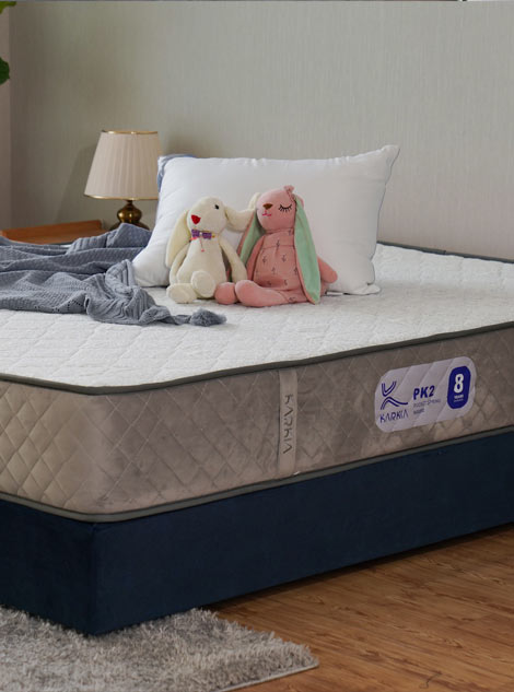 PK2 فنر پاکتی (منفصل)